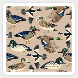 American Duck Species Pattern in Tan Sticker